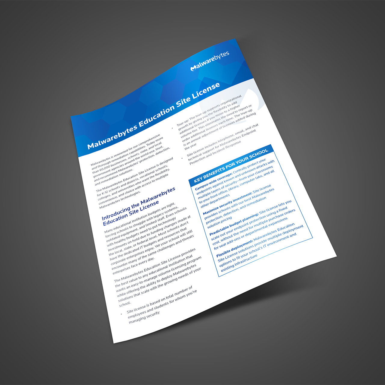 Major malware attack image